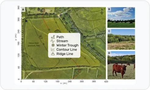 image of mapping of livestock movemnets
