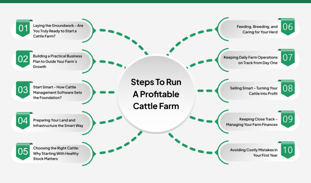 steps to start cattle farm