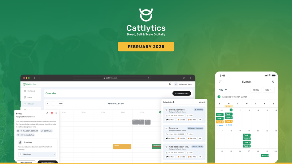 activity scheduler