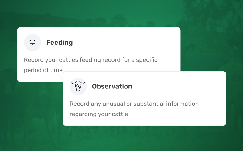 feeding and observation activities on mobile