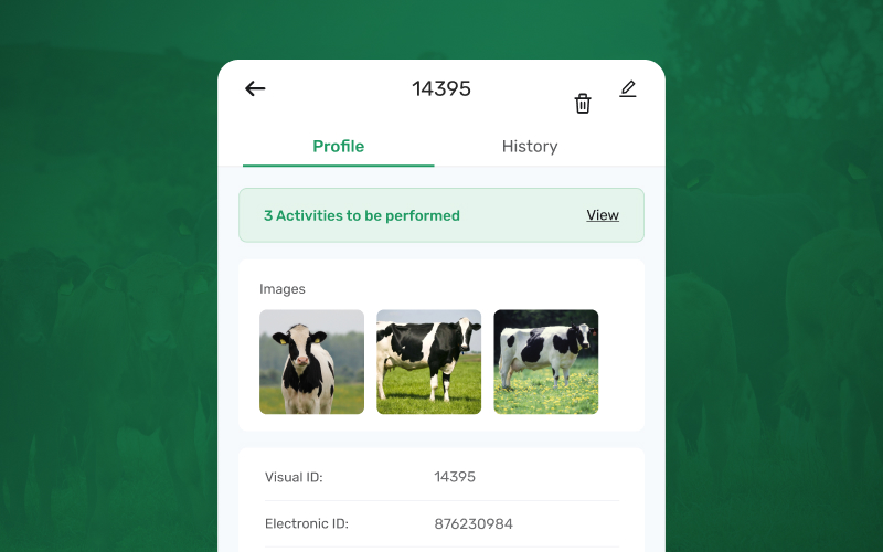 image showing improved animal profiles