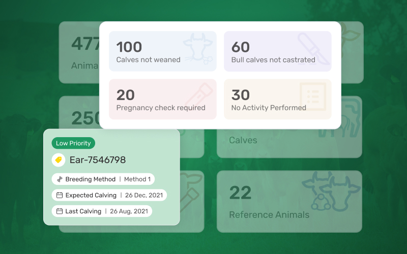 Smarter insights on cattlytics are shown.