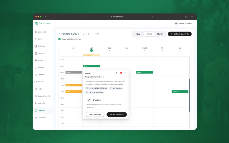 Activity Scheduler