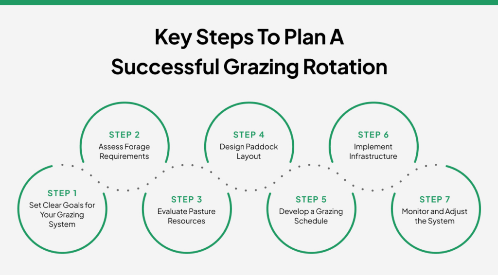 Key Steps to Plan a Successful Grazing Rotation
