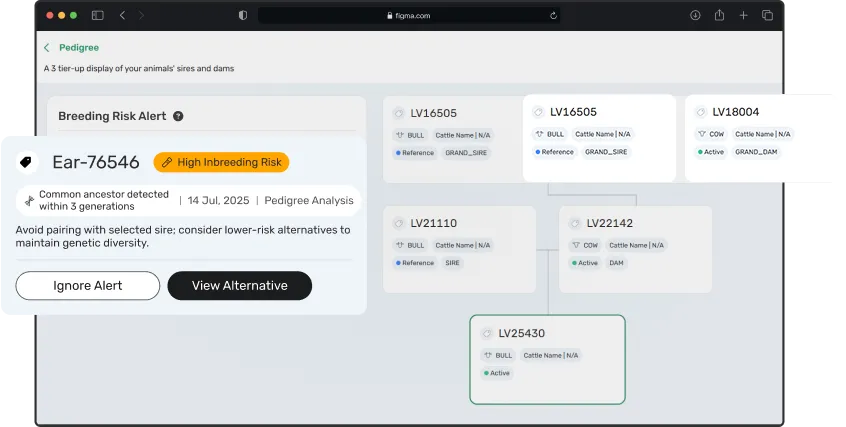 dashboard screen of pedigree tracking