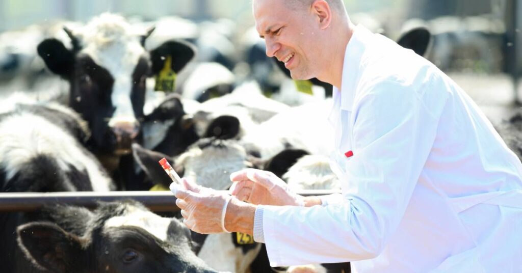 Herd Health Management