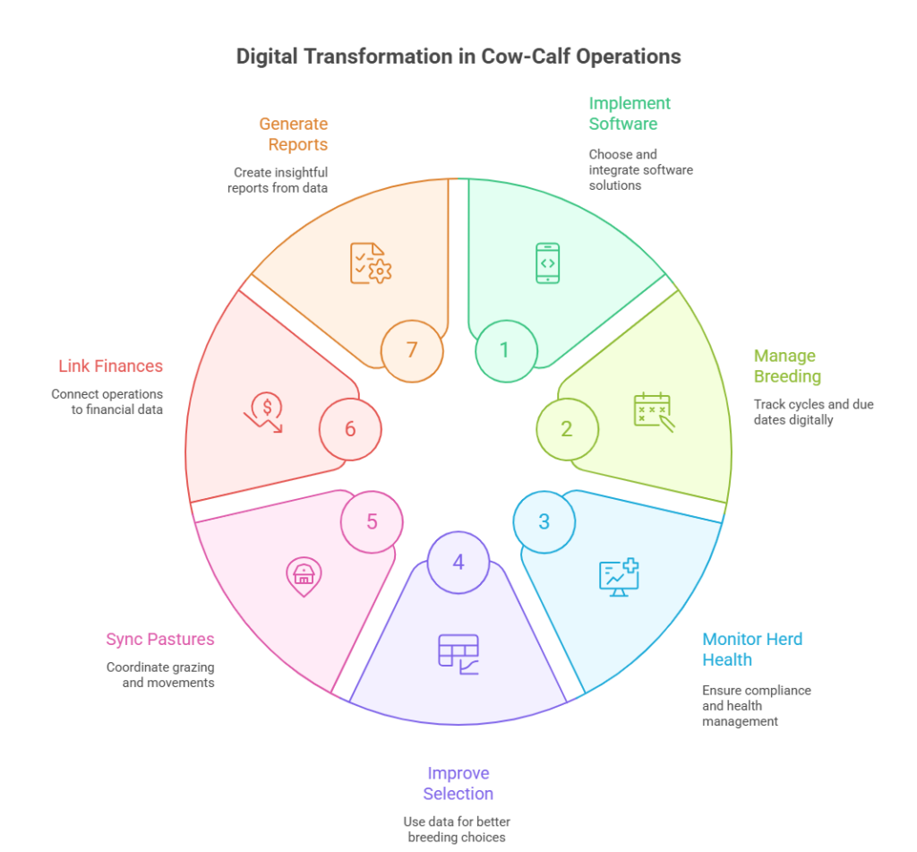 digital transformation in cow calf operations