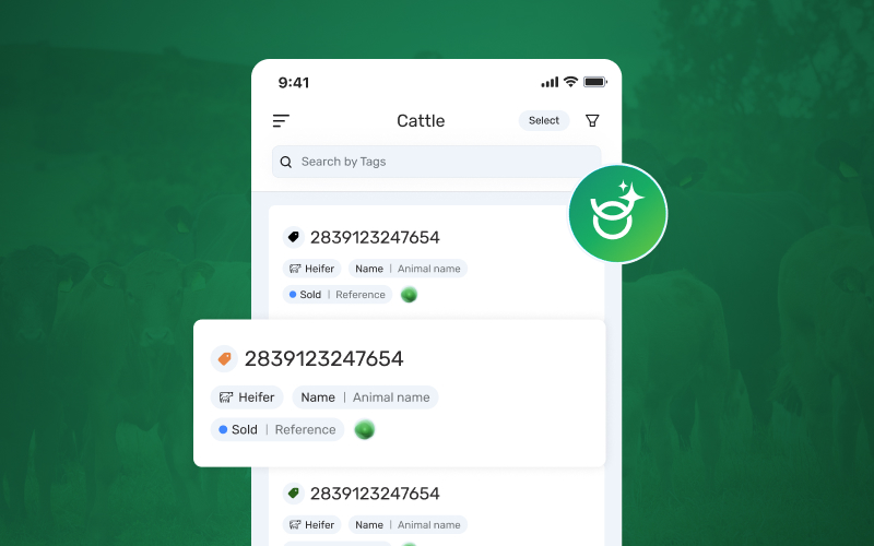 Image of Ask AI release