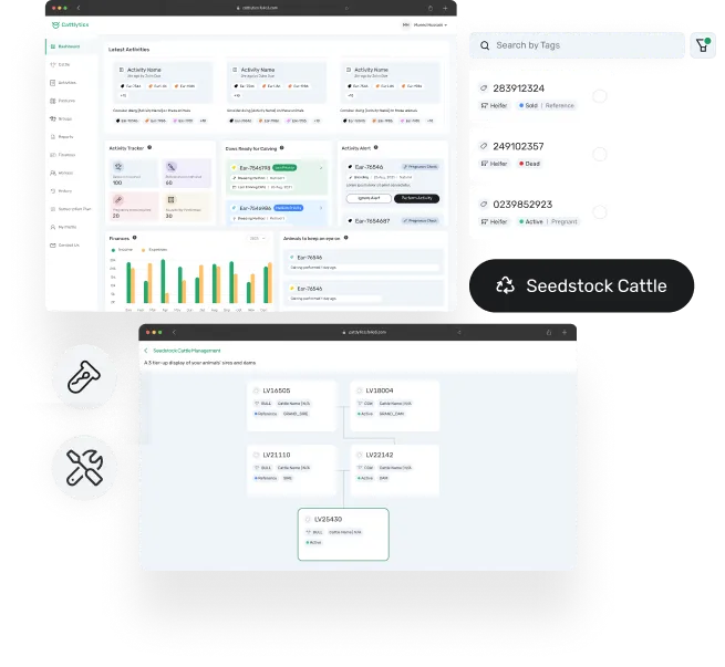 dashboard screen of seedstock cattle management