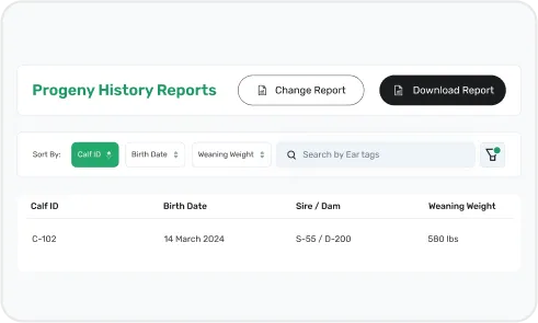 image of Growth Analytics and Reporting