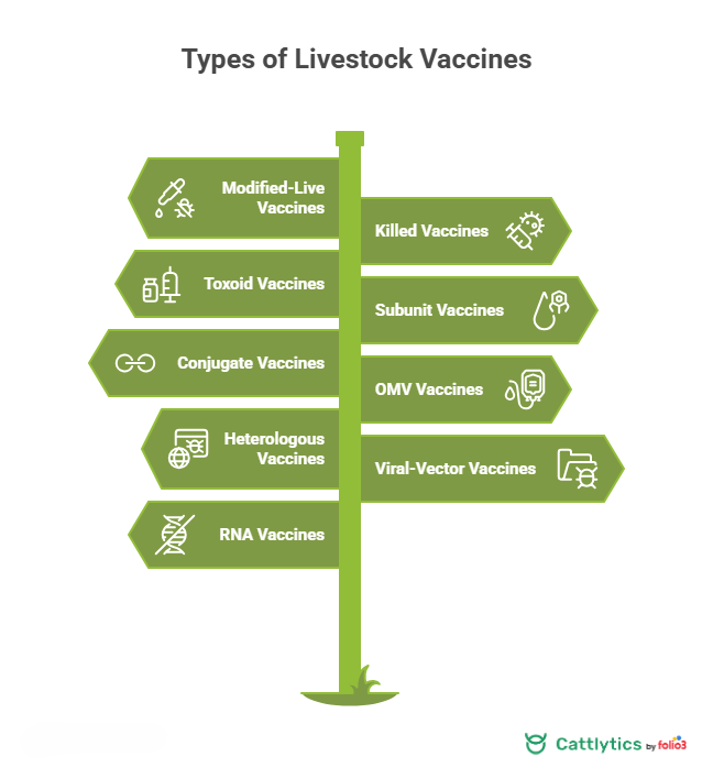 Types of Livestock Vaccines
