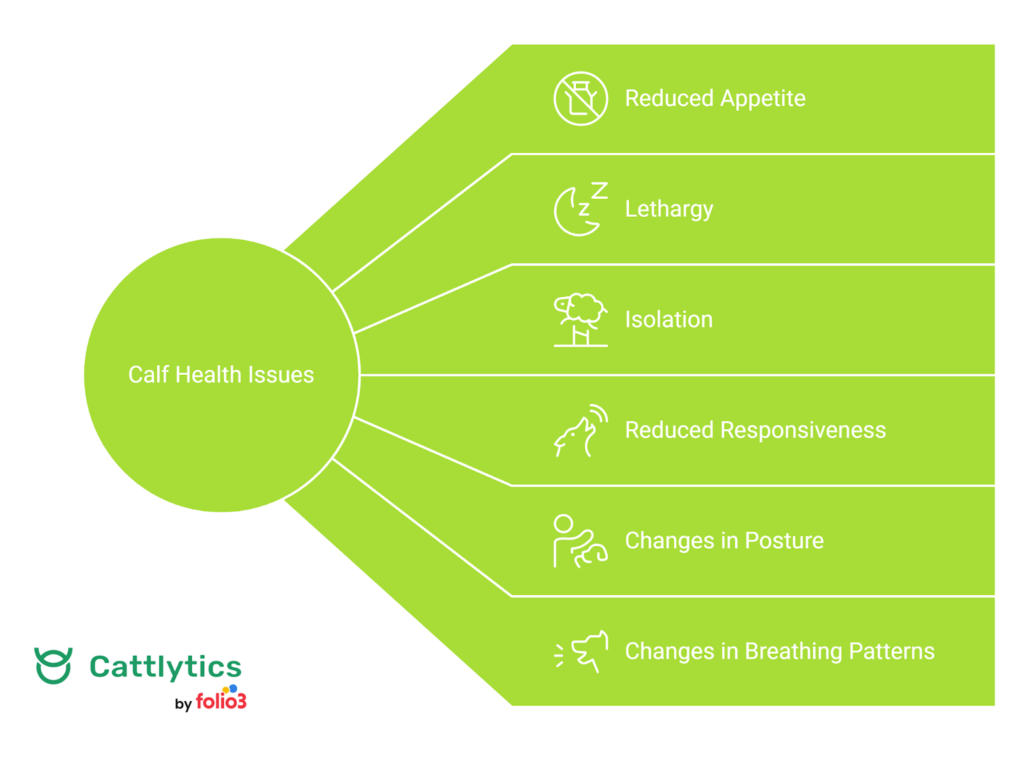 Common Health Issues in Young Calves