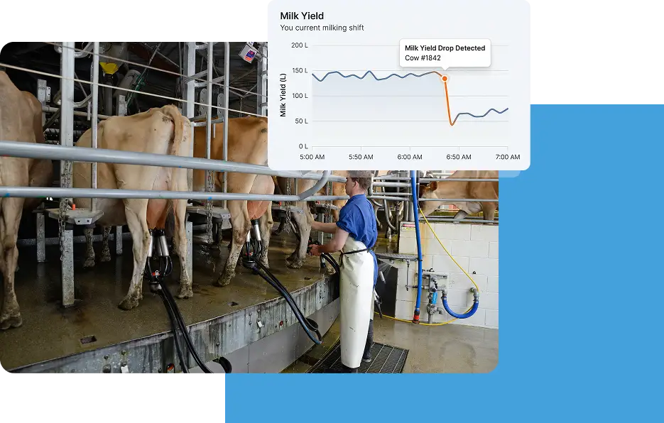 image showcasing dairy Parlor activities in One Place