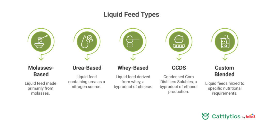 Main Types of Liquid Feed for Cattle