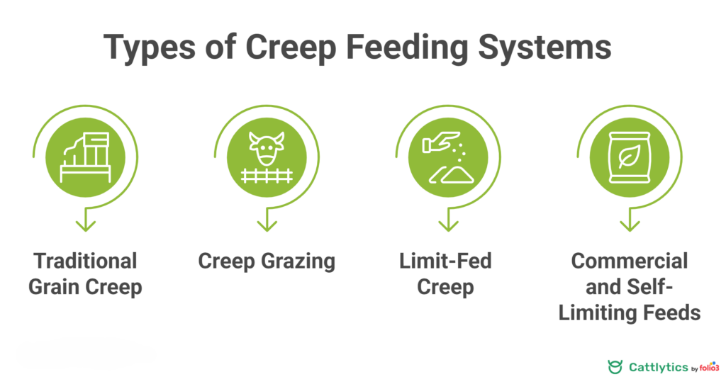 Types of Creep Feeding Systems