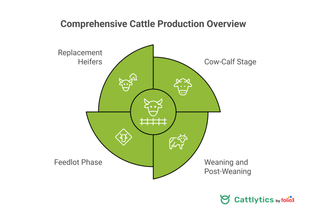 Grouping Strategies by Production Stage