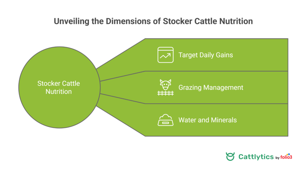 Nutrition and Pasture Management for Stocker Cattle
