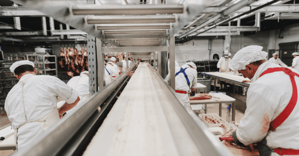 Meat Processing Automation
