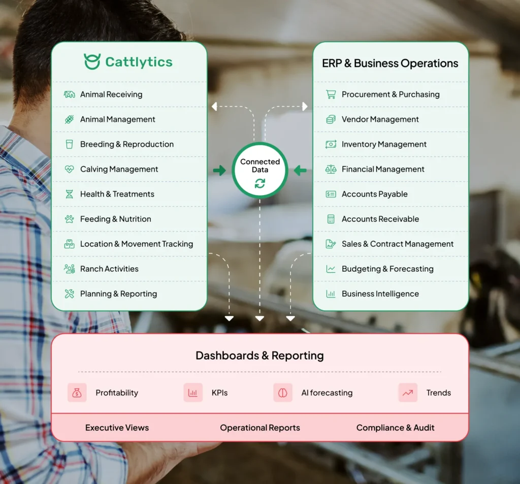 What Is Cattlytics Enterprise?
