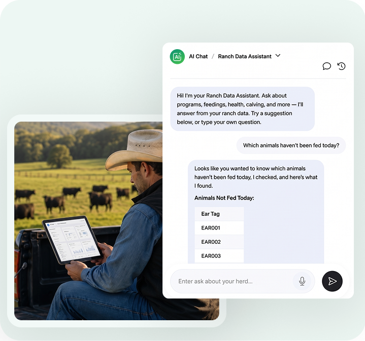 Ask Your Ranch Anything