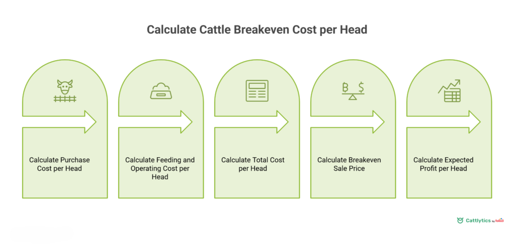 cattle breakeven calculator