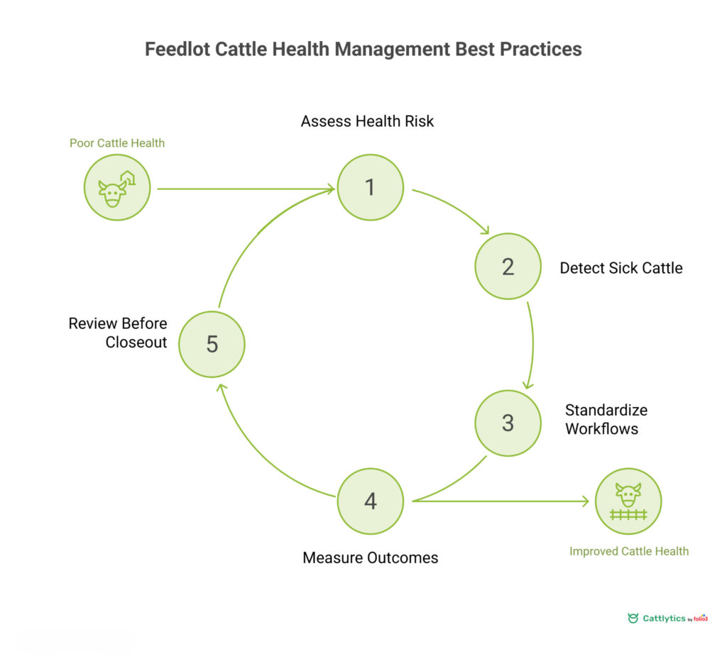 feedlot health