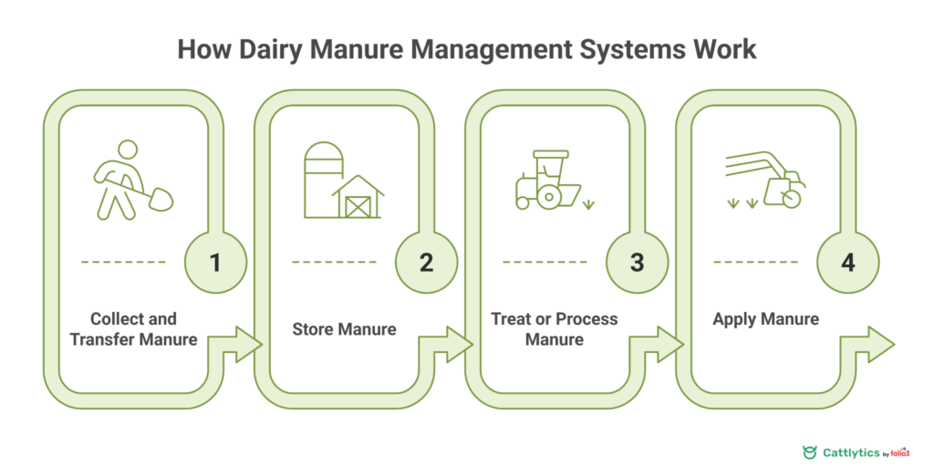 dairy manure management